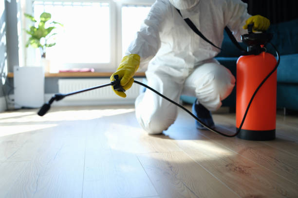 Reliable Odor Removal contractor in Daytona Beach, FL by Dulley Family Biohazard Services